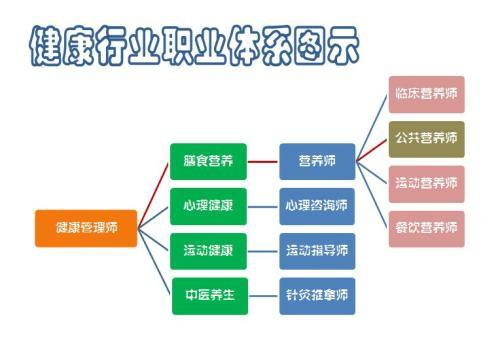 營養師證報考條件與職業前景 公共營養師證書取消了嗎？營養健康咨詢服務如何選擇？